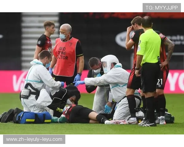 英超球员受伤信息网站推荐及使用方法